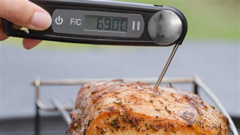 What Temperature Should I Cook Meat To Canadian Food Focus
