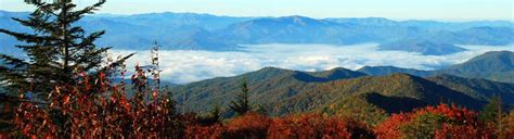 Great Smoky Mountains Tn