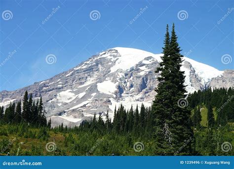 Snow Covered Summit Of Mt Rainier Stock Photo Image Of Water United