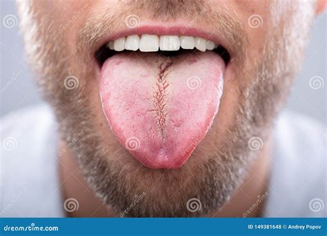 Close Up Of Tongue Licking Green Lip Over White Background Royalty Free