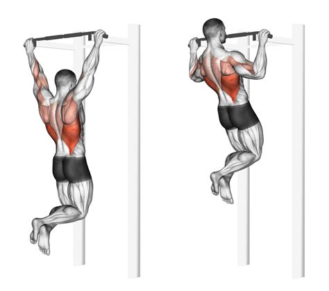 6 Best Vertical Pull Exercises With Pictures Inspire Us