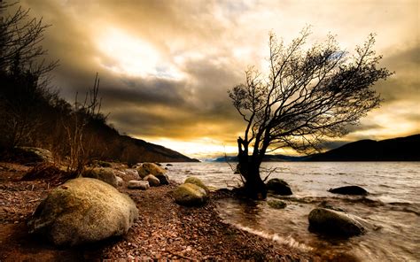 Brown Landscape Wallpapers Hd Desktop And Mobile Backgrounds