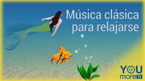 As frases de vaquejada descrevem o que faz bater mais forte o coração: Musica clásica para relajarse - YouTube