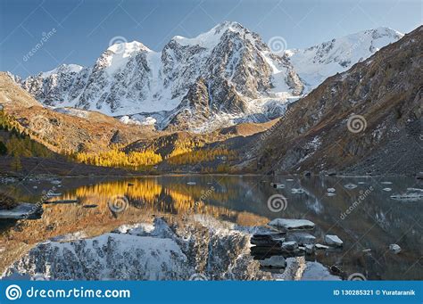 Altai Mountains Russia Siberia Stock Image Image Of Lake Pine