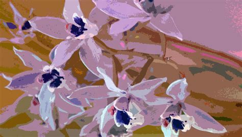 Painted Orchids Background Free Stock Photo Public Domain Pictures
