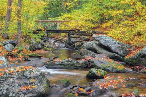 Best Fall Foliage Spots In Connecticut And Beyond