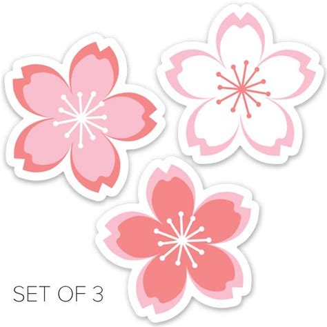 A Trio Of Sweet Sakura Cherry Blossoms In Soft Shades Of Pink And