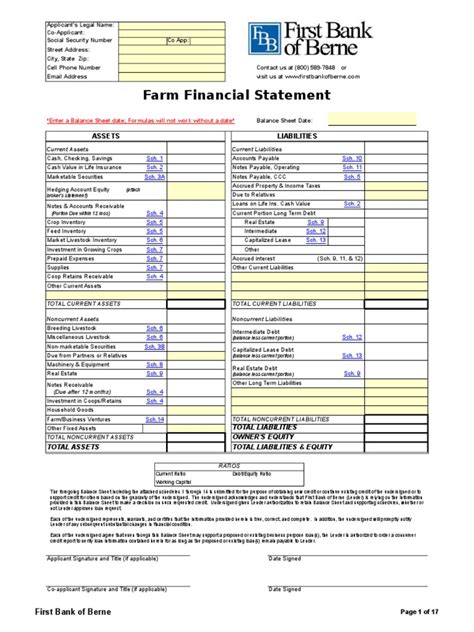 Farm Financial Statement Pdf Balance Sheet Credit Finance