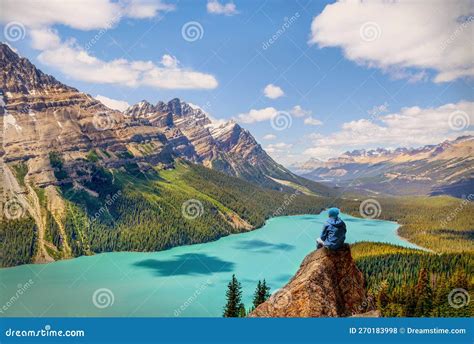 Hiker Sitting On The Pinnacle Of Bow Summit With Stunning View Of Peyto