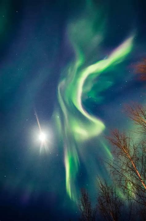 Le Sublime Spectacle Des Aurores Boréales En Finlande Aurore Boréale Finlande Aurores