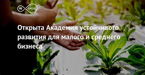 Открыта Академия устойчивого развития для малого и среднего бизнеса ...