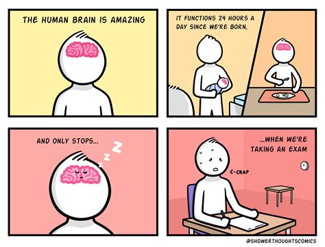 Oc The Human Brain Rfunny