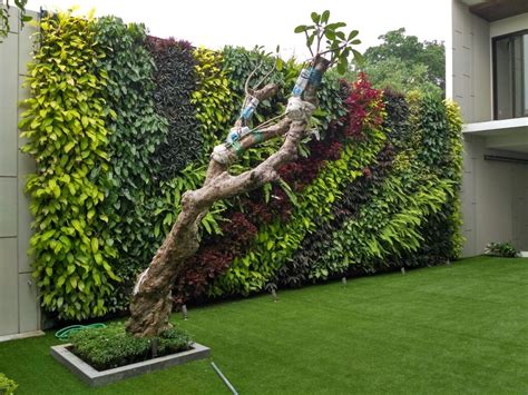 Vertical Garden Jakarta Harga Pembuatan Taman Dinding Per Meter