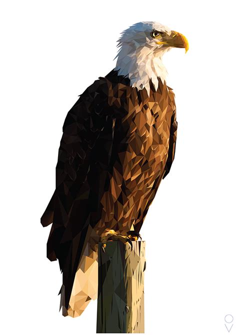 Eagle Sitzt Png Hd Qualität Png Play