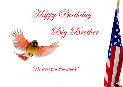 From funny, sentimental, and even rude cards you're sure to find the one that fits his personality perfectly!. Happy Birthday Big Brother Greeting Card for Sale by Randall Branham