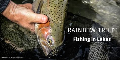 How To Catch Rainbow Trout In A Lake A Man And His Rod