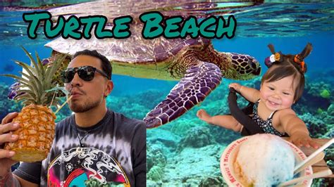 We Spent The Day In North Shore Turtle Beach Youtube