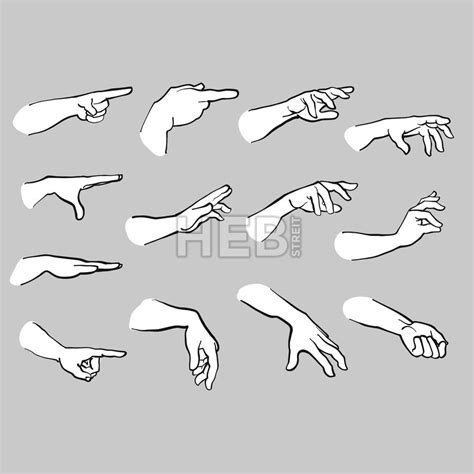 Set Of Hands Pointing Hebstreits Hand Drawing Reference Drawing