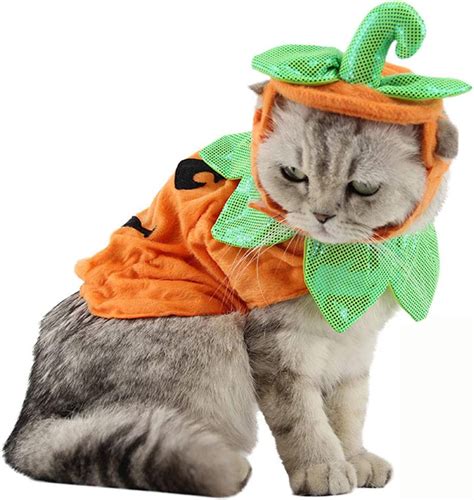 14 Best Halloween Costumes For Your Cat This Year