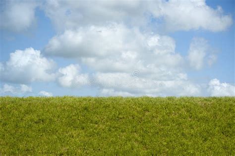 Scene Of Green Grass A Blue Sky And White Clouds Stock Image Image