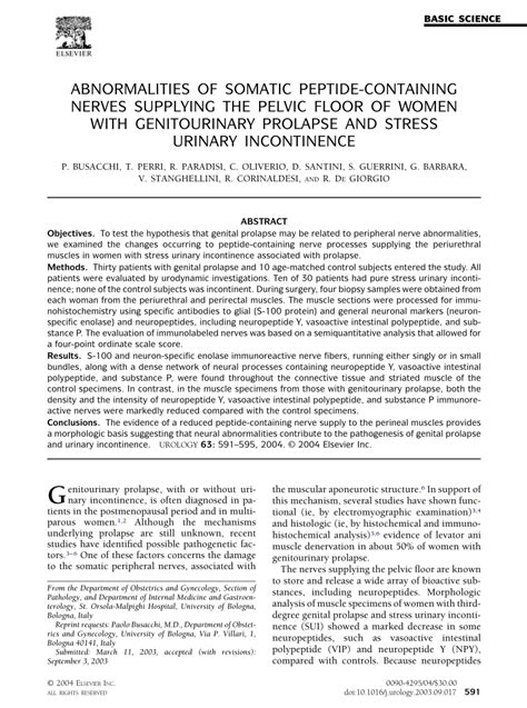 Pdf Abnormalities Of Somatic Peptide Containing Nerves Supplying The Pelvic Floor Of Women