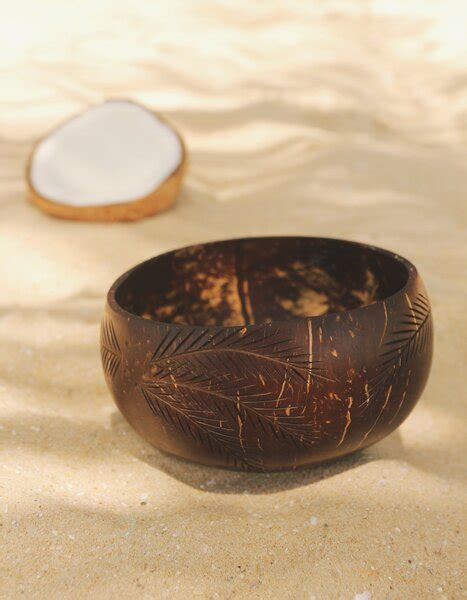 Balu Bowls Palm Coconut Bowl Schale Handgefertigt Avocadostore