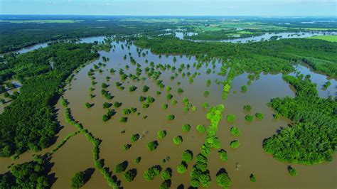 Floodplain Management Reducing Flood Risks And Restoring Healthy