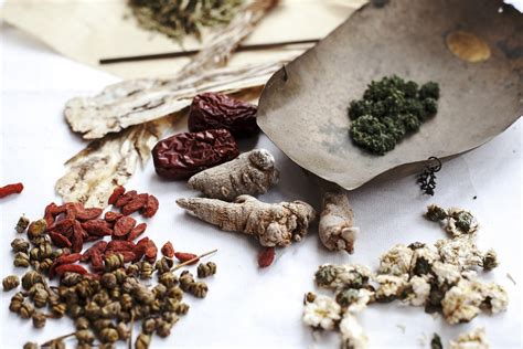 Beautiful Images Of Chinese Herbs Kidney Cyst Herbalism Herbal Medicine
