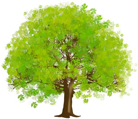 Classic Green Tree Png Clip Art Best Web Clipart Clip Art Library