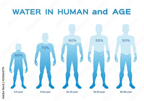 Human Body Water Chart My XXX Hot Girl