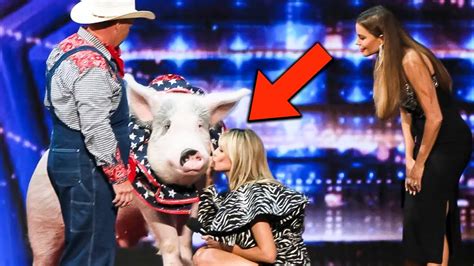 Top 10 Funniest Animal Auditions On Agt Youtube