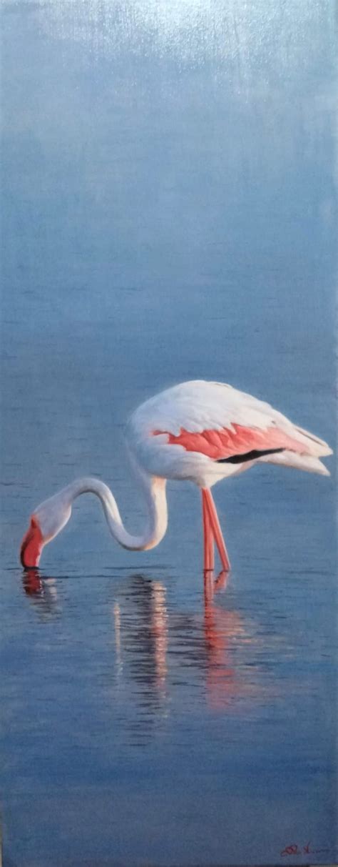 Pink Flamingo For Sale By No Naked Walls