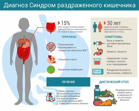 Синдром воспаленного кишечника симптомы диета Синдром Раздраженного Кишечника Симптомы И Лечение Диета — Похудение Синдром Раздраженного Кишечника Симптомы И Лечение Диета — Похудение Синдром воспаленного кишечника симптомы диета