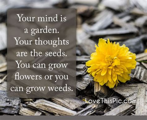 Your Mind Is A Garden Pictures Photos And Images For