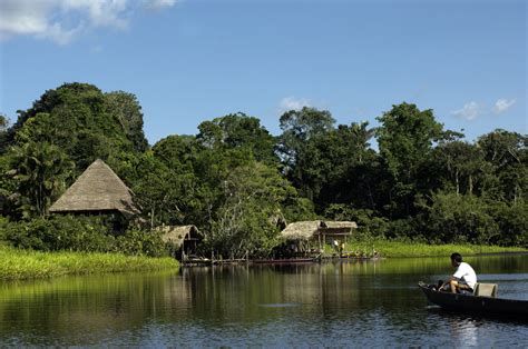 Top 10 Facts About The Amazon Rainforest The Inside Track