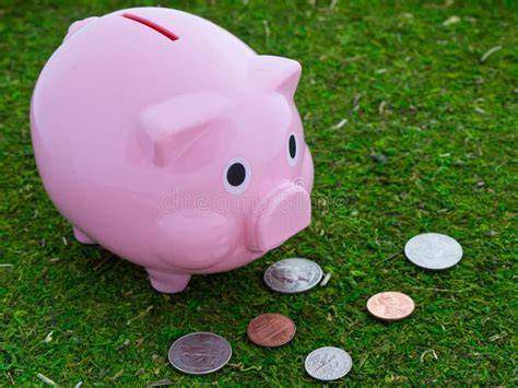 Piggy Bank Grazing Stock Photo Image Of Coinage Raining 23380552