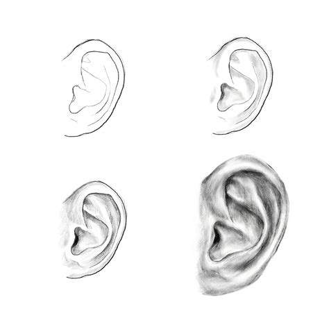 Learn How To Draw An Ear Art Education Drawing Skill Sketch Tutorial