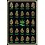 Best Buds Marijuana Types Weed Pot Chart Poster 24x36 650399102702  EBay