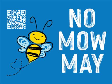 No Mow May Why Letting Your Lawn Grow Is Beneficial To Pollinators