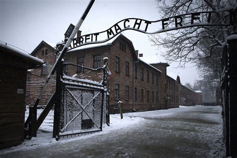 Survivants D Auschwitz Encore En Vie - Un négationniste condamné à visiter les camps de la mort | CNEWS