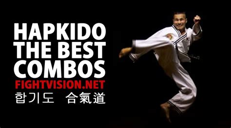 5 How Many Techniques Does Hapkido Have Hutomo