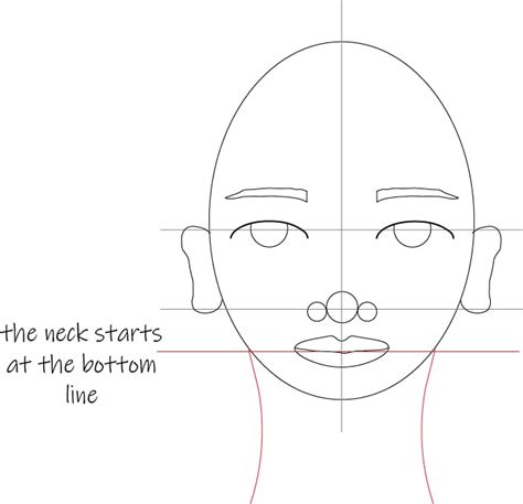 9 steps to mastering female face proportions easy tutorial for beginners artful haven