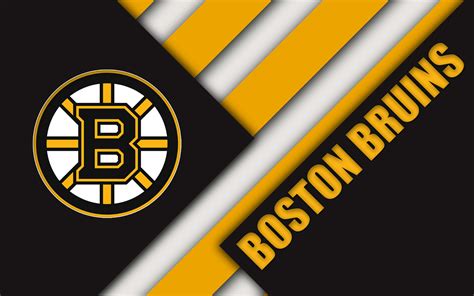 Download The Boston Bruins Champions Team