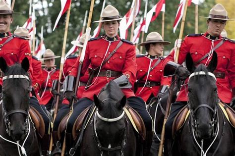 Mounties Could Be Coming To Warwickshire Coventrylive