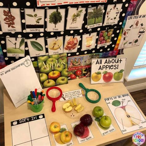 How To Set Up The Science Center In Your Early Childhood Classroom