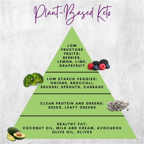A Beginners Guide To Plant Based Keto 2022