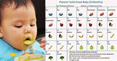 Anak 6 Bulan Belajar Makan Cuba Buat Jadual Pemakanan Baru Tahu