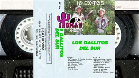 Los Gallitos Del Sur 16 Exitos Album Completo Youtube