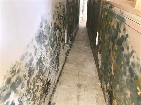 First, there are places you haven't thought to check for mold in your house where it may exist. What Is A Mold Inspection | Your Guide For Testing Your ...