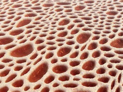 Scientists Discover Why You Really Have Trypophobia Stylist